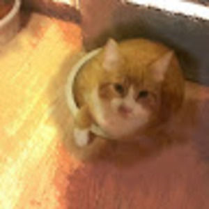 Meet your Posher, Halana